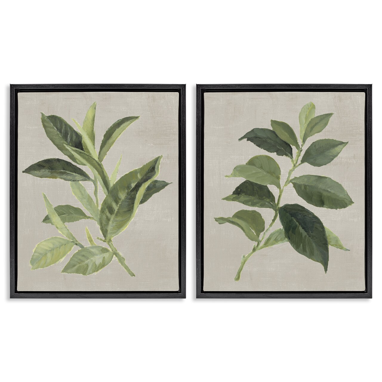 Stupell Industries Green Tea & Coffee Plant Leaves 2pc Floating Frame Set Design by Lanie Loreth